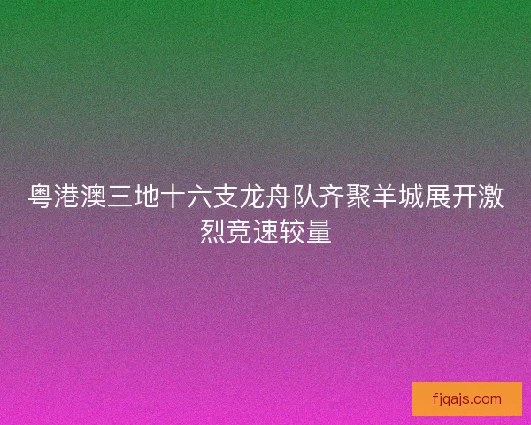 粤港澳三地十六支龙舟队齐聚羊城展开激烈竞速较量 粤港澳三地十六支龙舟队齐聚羊城展开激烈竞速较量